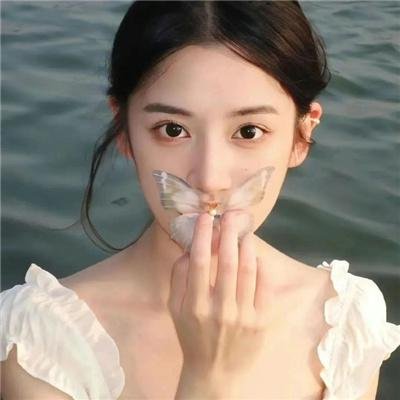 终极宝镳